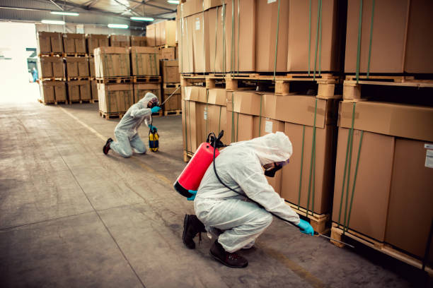 Best Exterminator Services  in Wesley Hills, NY