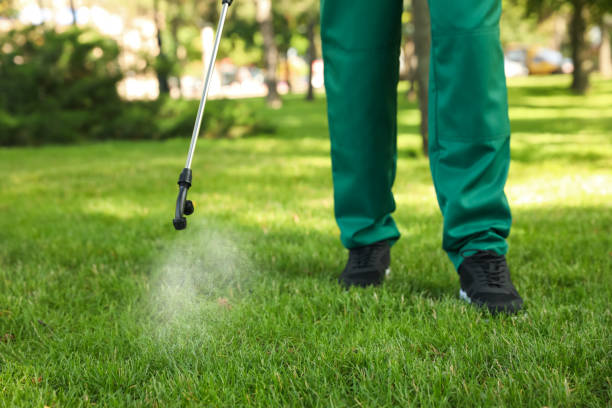 Best Rat Extermination Near Me  in Wesley Hills, NY