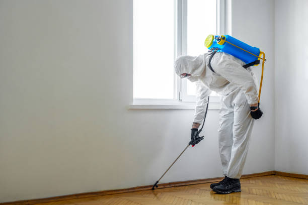 Best Commercial Pest Control Services  in Wesley Hills, NY