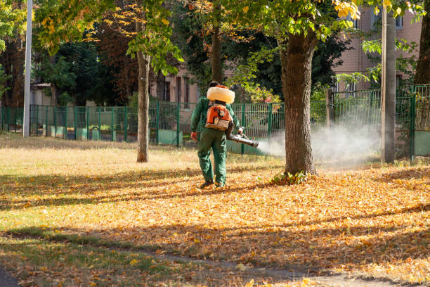 Best Best Pest Control Companies  in Wesley Hills, NY