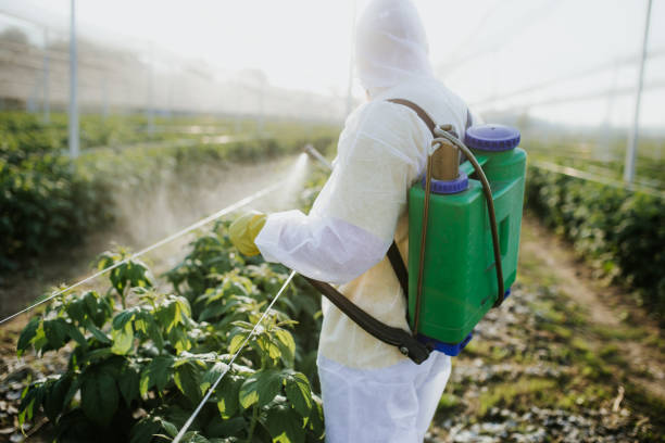 Best Termite Control Services  in Wesley Hills, NY